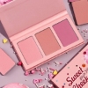 پالت رژگونه سه رنگ شیگلم مدل سوئیت چیکز sheglam sweet cheeks blush palette